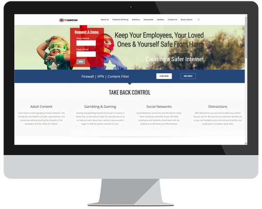 rsz_netsentronscreen vancouver web design
